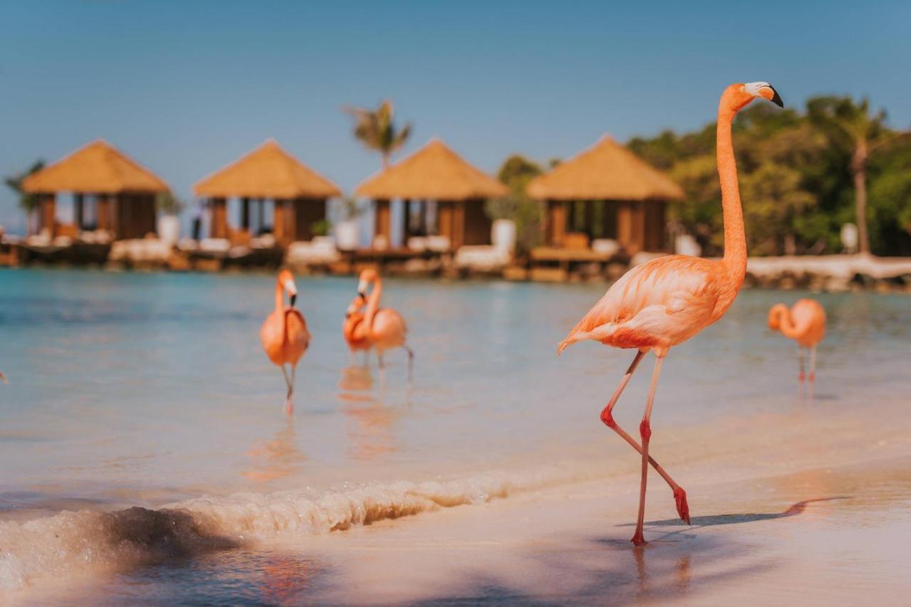 Renaissance Wind Creek Aruba Resort Oranjestad Exteriör bild